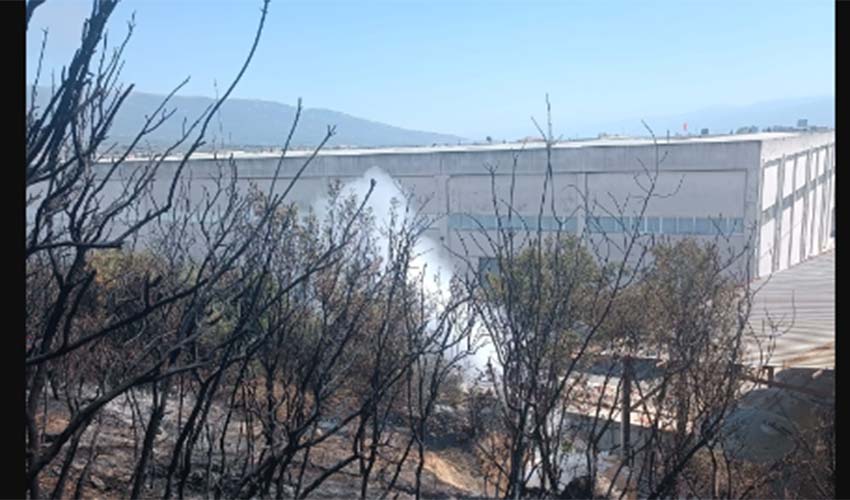 Yangın fabrikalara ulaşmadan kontrol altına alındı