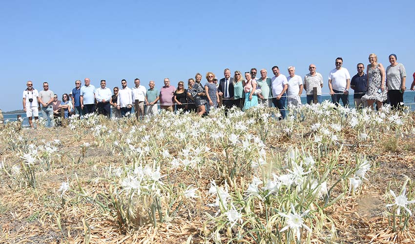 Urla'da Kum Zambaklarına Hayat Veren Etkinlik
