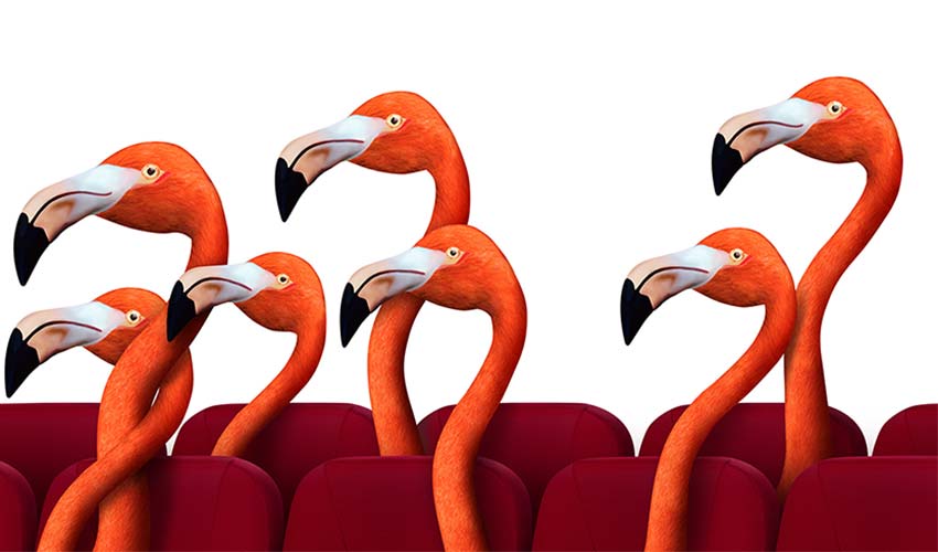 4. İzmir Uluslararası Film ve Müzik Festivali 30 Ekim’de başlıyor