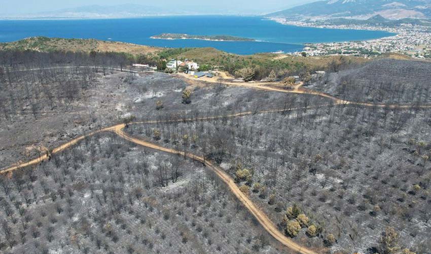 Urla’ya ateş düştü