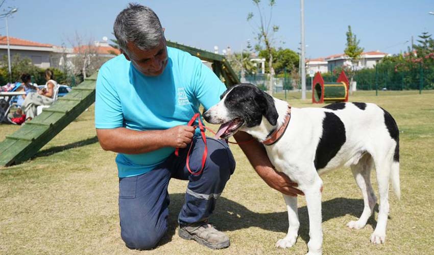 Pati Park’ta can dostlarla buluşma