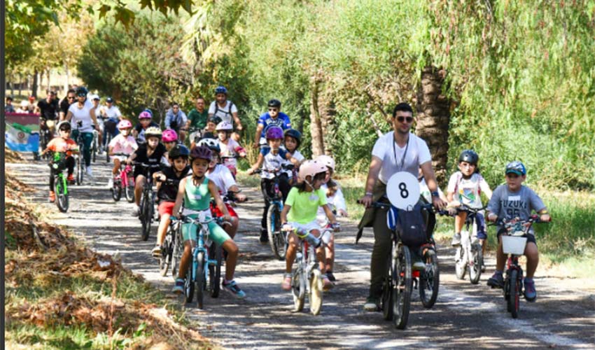 Her pedal bir fidan