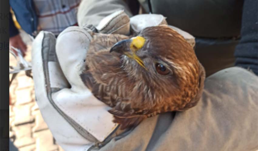 Bursa’dan Balçova’ya ilginç yolculuk