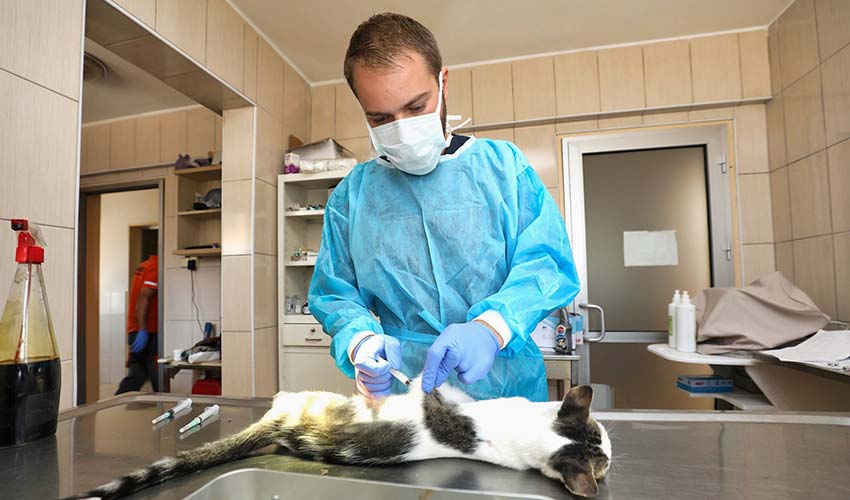 6 bin 222 can dosta şefkat eli