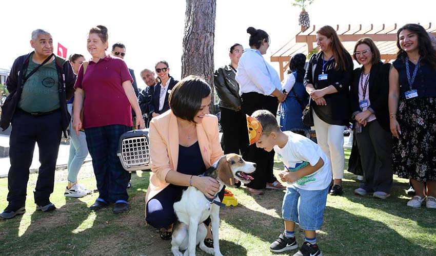 Sokak hayvanlarına modern hizmet
