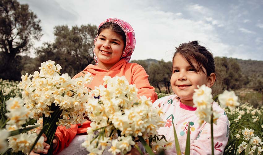 Nergis ve Kuru Çiçek Festivali 4. Yılında