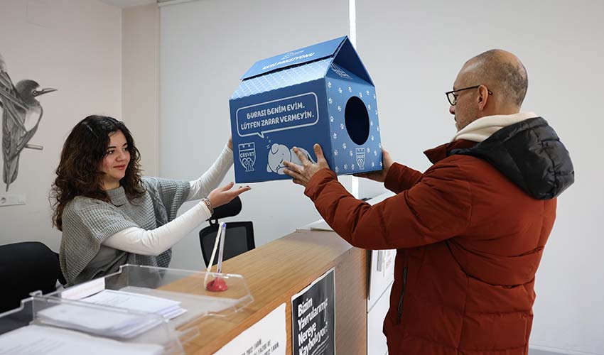 Sokaktaki minik patilere sıcak bir yuva!