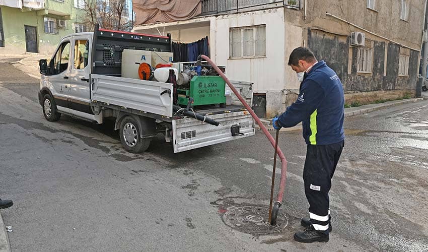 Erken dönem sinek ve böcekle mücadele