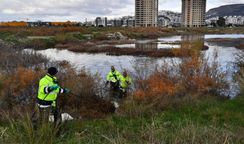 Sivrisinek ve haşereyle mücadele 12 ay sürüyor