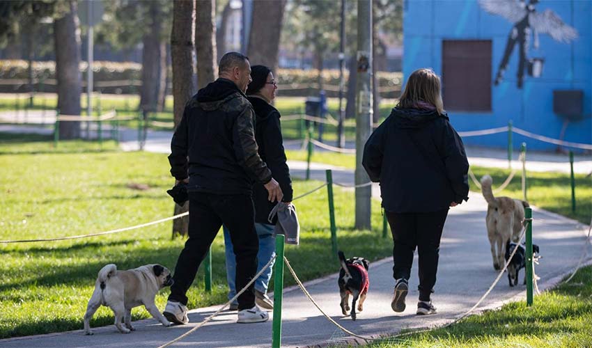 Hasanağa Bahçesi daha yeşil daha güvenli