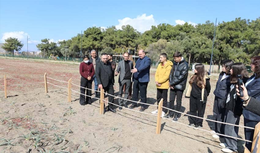 Kum Zambakları Koruma Altında