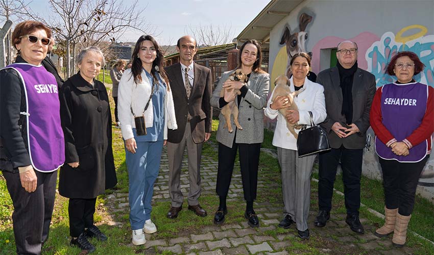 Bir patili dost edinmeye ne dersiniz?