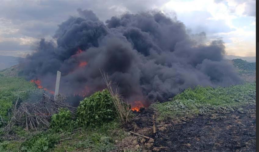 Taviz yok, Cezai Yaptırım var