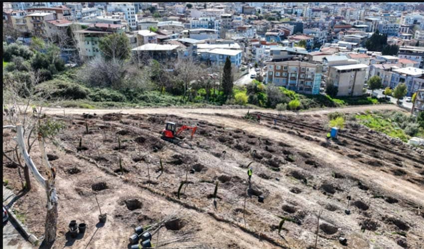 Bornova yeni bir orman kazanıyor