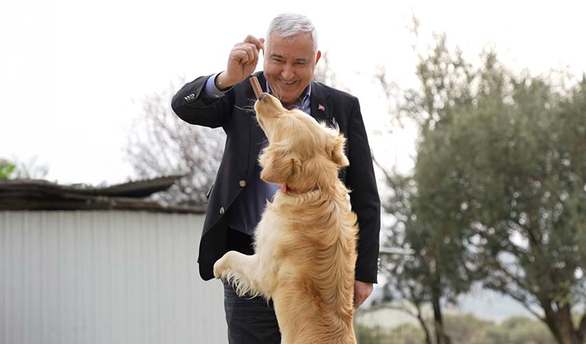 Sıcak yuvalara dijital köprü