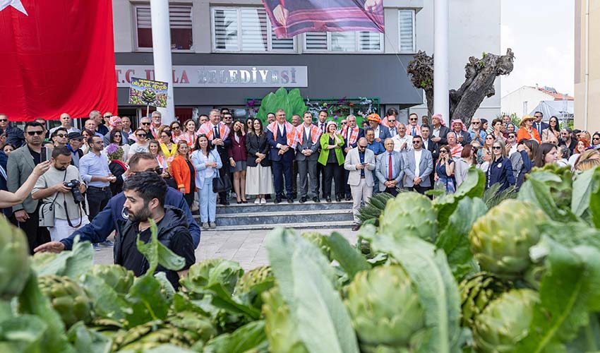 Urla'da Enginar coşkusu