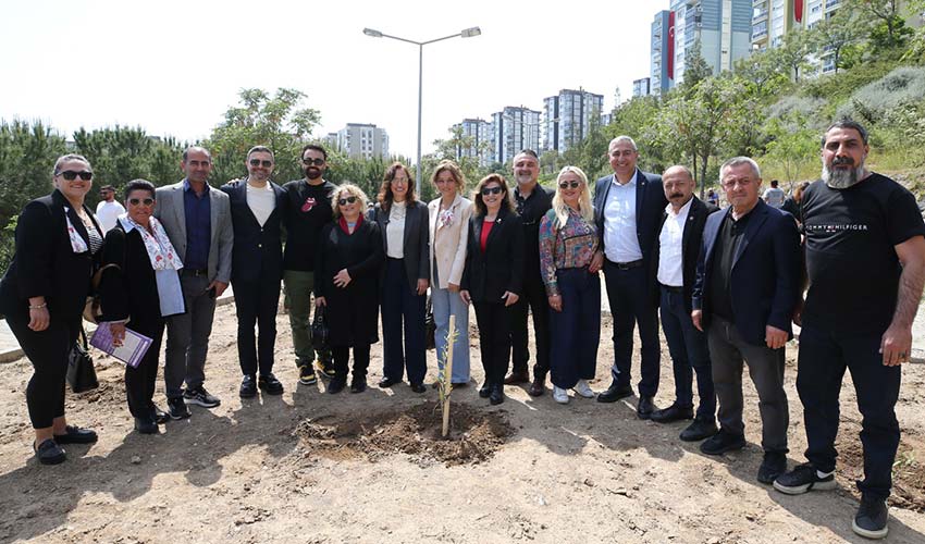 Zeytin fidanları toprakla buluştu
