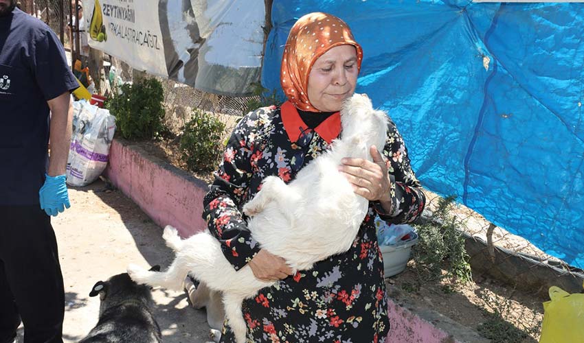 Can Dostlar İçin El Ele