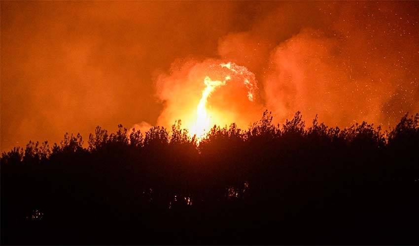 Bir ayda 26 bin 260 hektar alan yandı