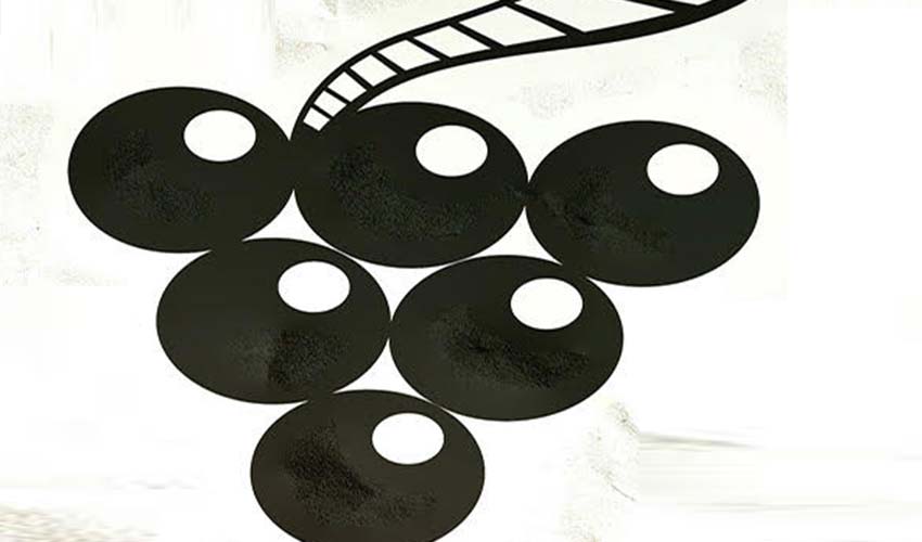 Küçük Kameralardan Büyük Perdede Buluşma