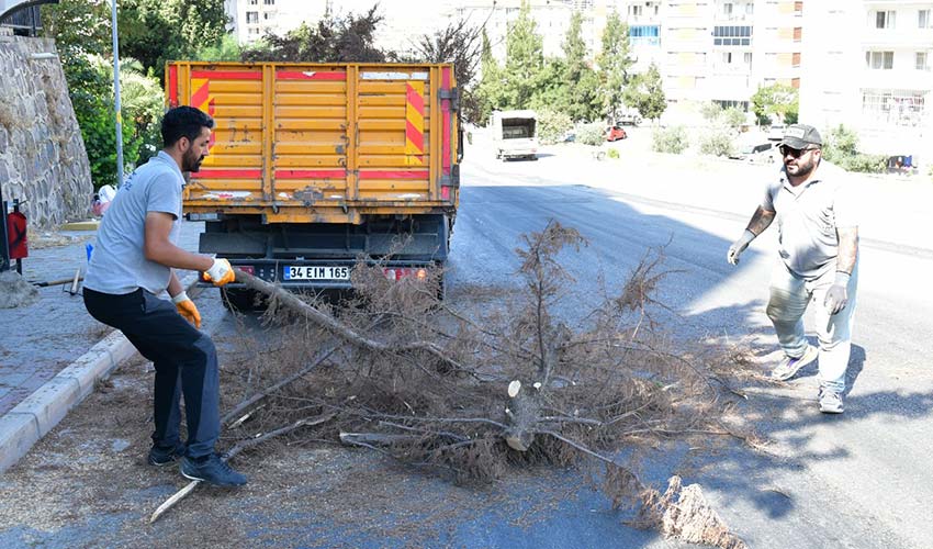 Temizlik ve bakım seferberliği