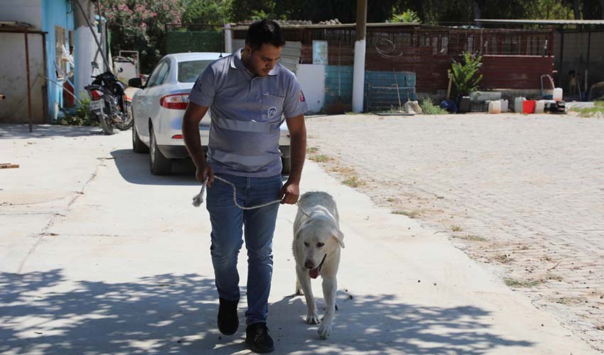 Satın Alma Sahiplen