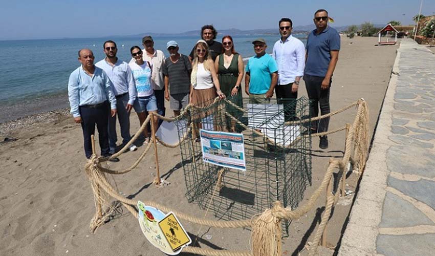 Caretta Caretta Heyecanı