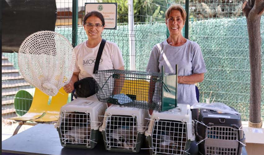 212 patili dost daha yeni ailesine kavuştu