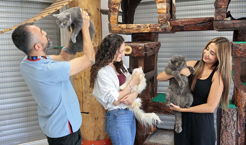 ​Konak’ın patili  dostları ömürlük yuvalarını bekliyor