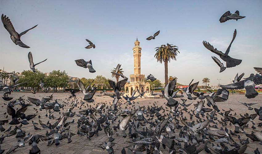 İklim krizi ile ilgili yurttaşın da sözü olacak