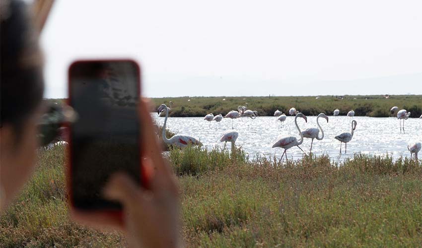 Doğa ve lezzet tutkunları bu turları çok sevecek