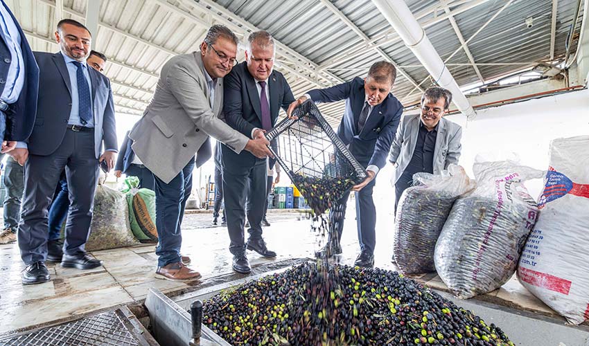 Zeytinin Bin Yıllık Yolculuğu Sanatla Buluşuyor