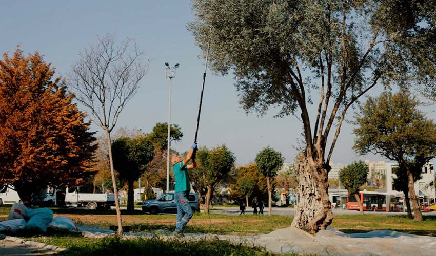 Kentin bereketine sahip çıkan örnek çalışma