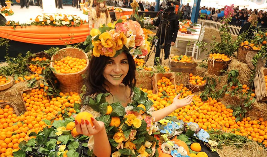 “Turuncu Bayramı”na geri sayım