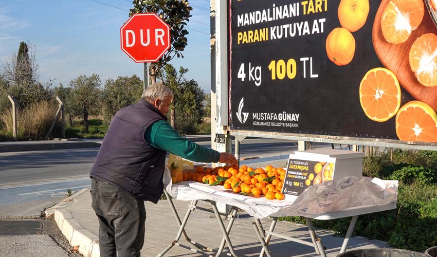 Güven ve Dayanışma Esaslı Uygulama