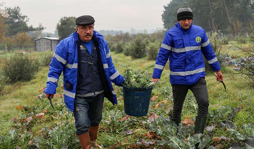 Üretim ve dayanışma seferberliği devam
