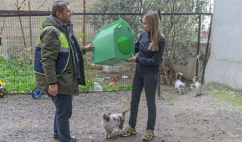 Kediler sıcak yuvalarına kavuştu