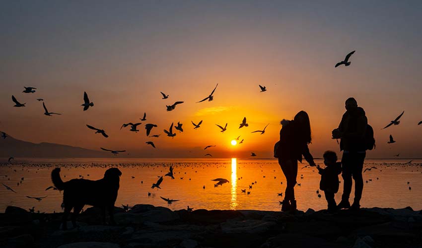 Kardeş Kadrajlar Uluslararası Fotoğraf Yarışması başlıyor