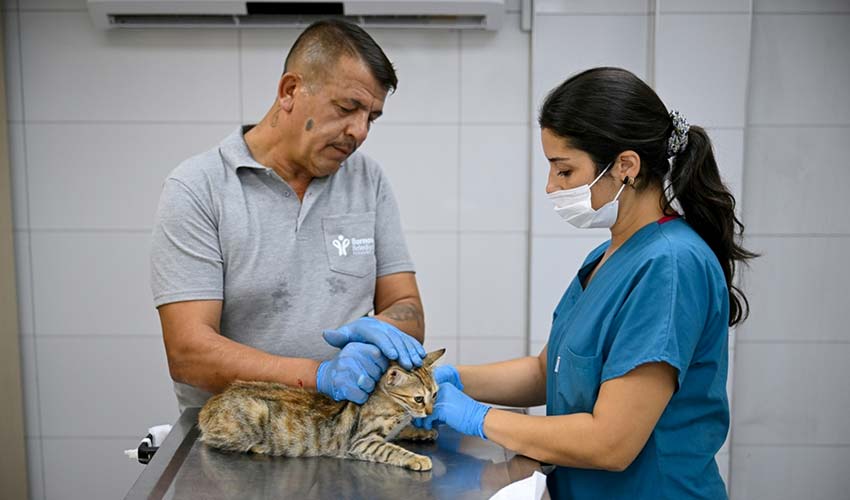 Eros Kedi Kliniği Bornova’da umut merkezi oldu