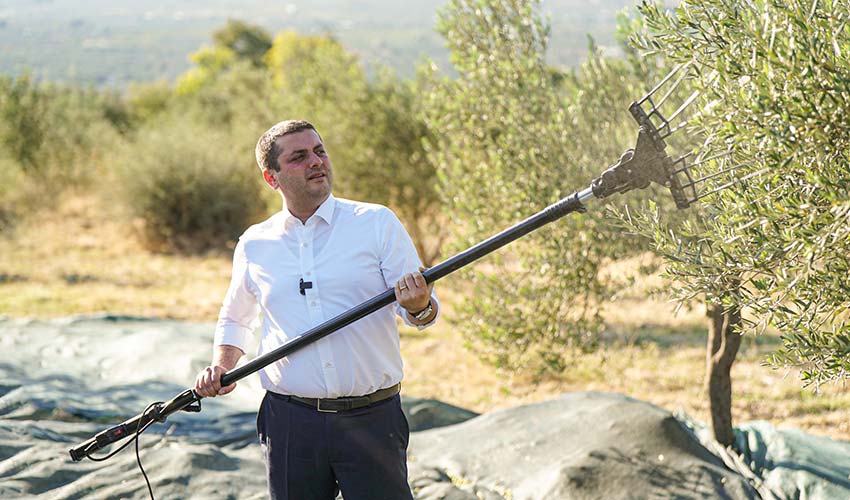 Torbalı Metropolis Zeytinyağları