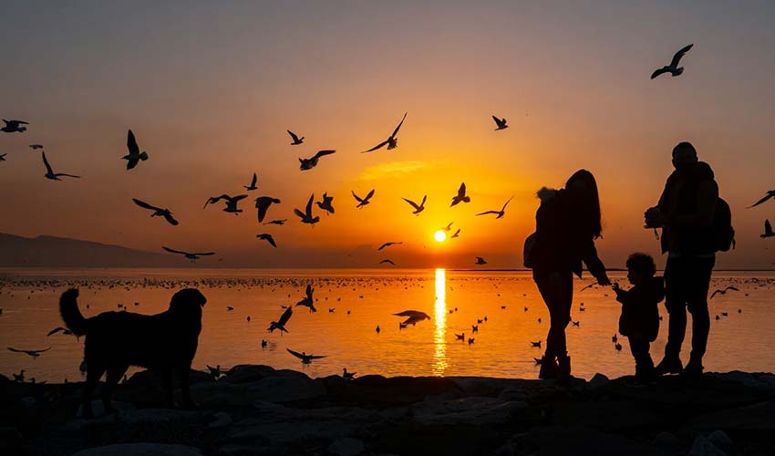 Kardeş Kadrajlar Uluslararası Fotoğraf Yarışması’na son başvuru 8 Şubat