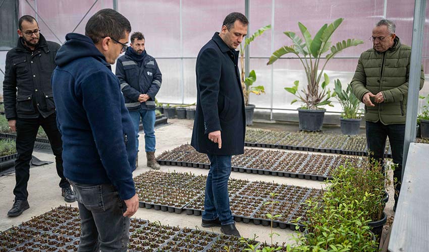 Kendi yeşilini kendi üretiyor