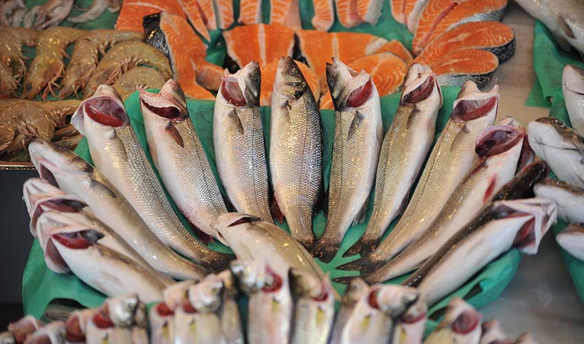 207 milyon dolarlık balık ihraç etti balık ihracatı 2026'ya rekorla girdi