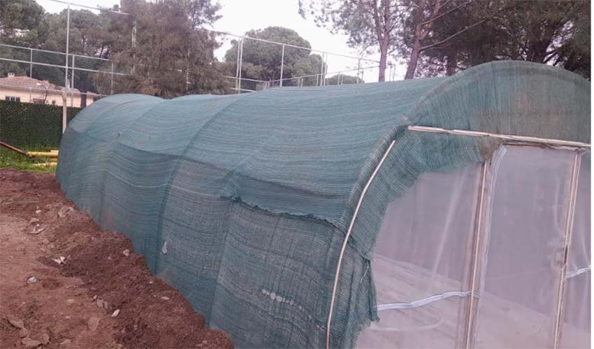 Çöpü Toprağa Sorduk, Cevabi Fide Verdi