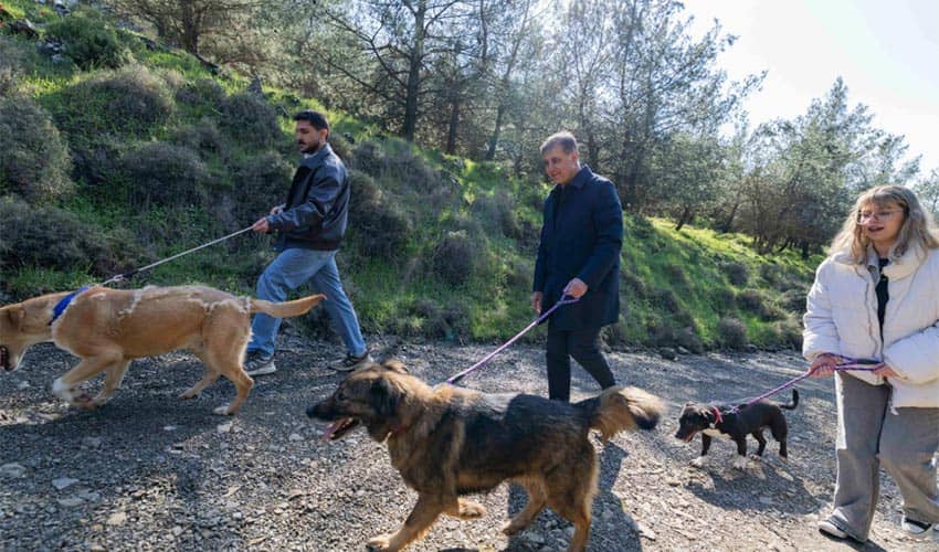On binlerce cana dokunan seferberlik