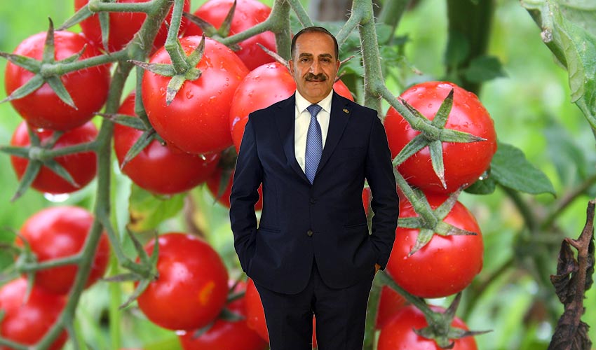 İlk çeyrekte 1 milyar dolar aşıldı