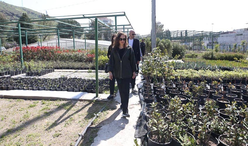 Belediye üretiyor, parklar çiçek açıyor