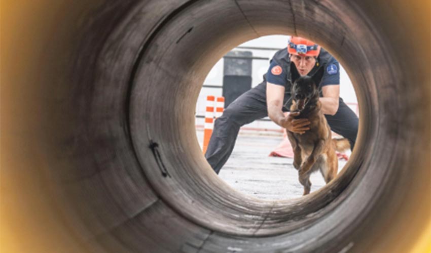 Momo enkaz için eğitiliyor