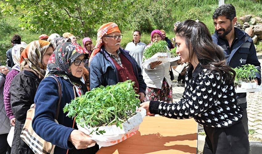 150 bin yazlık sebze fidesi dağıtıldı
