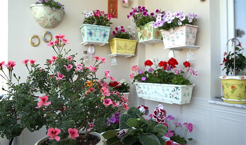 Gaziemir Belediyesi’nden en güzel bahçe, balkon ve teras yarışması